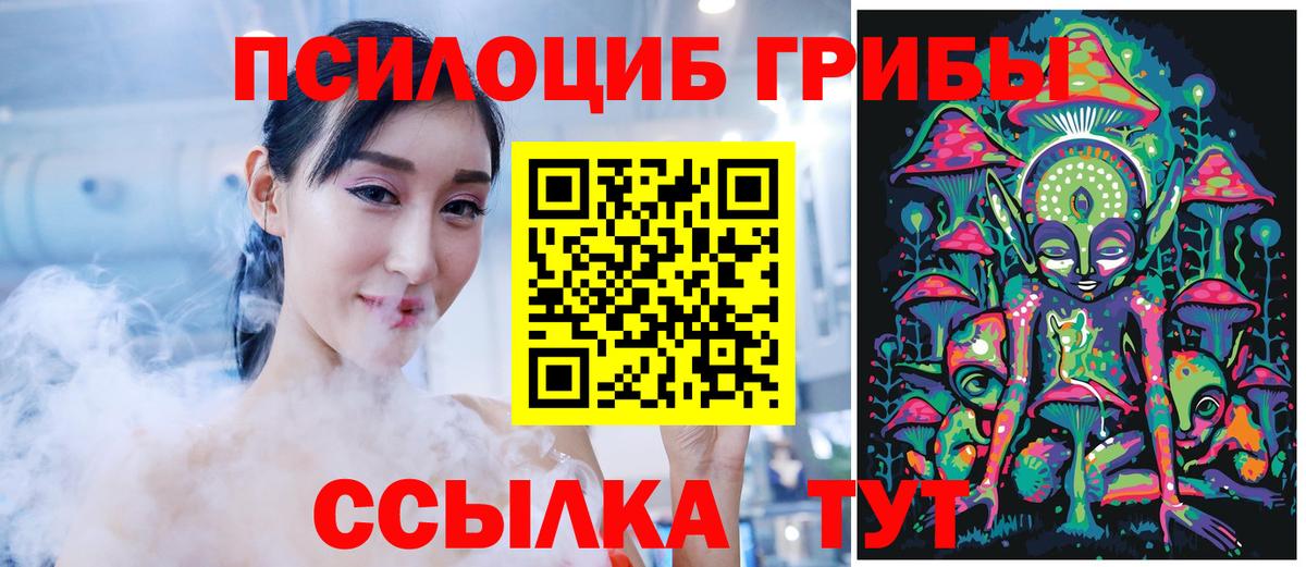 Галлюциногенные грибы мицелий  Галлюциногенные грибы прущие грибы  Вход с VPN  Сочи 